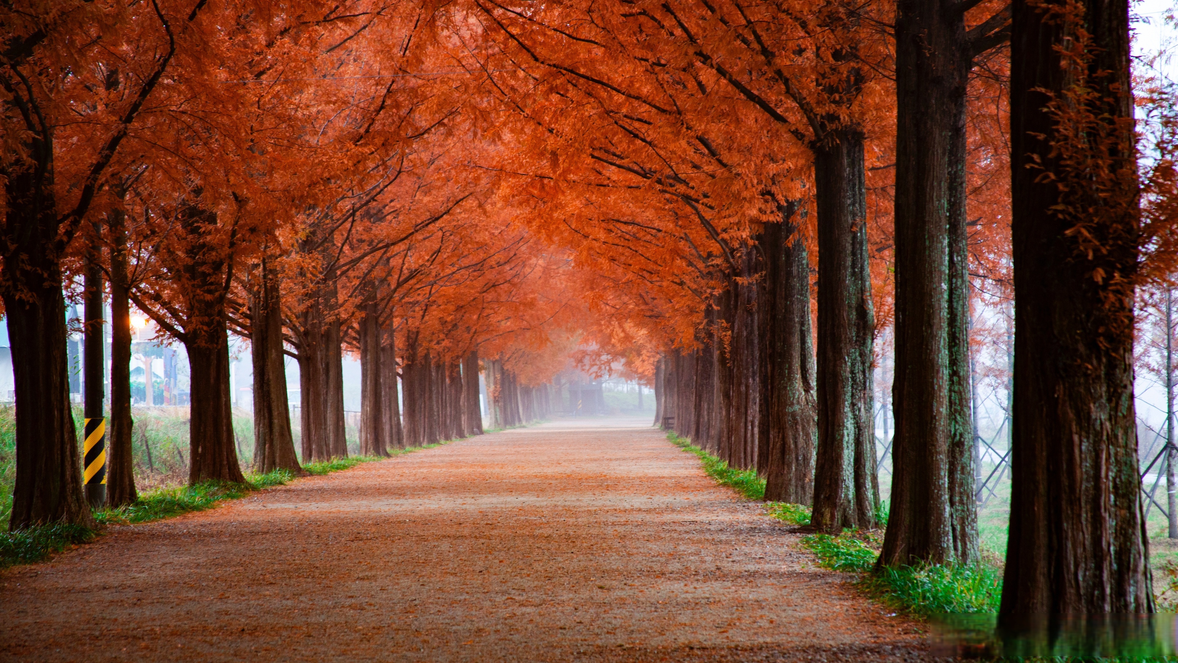 壁纸多多苹果版下载(壁纸多多app下载安装)-第4张图片-有道翻译官网 壁纸多多苹果版下载(壁纸多多app下载安装)-第4张图片-有道翻译官网