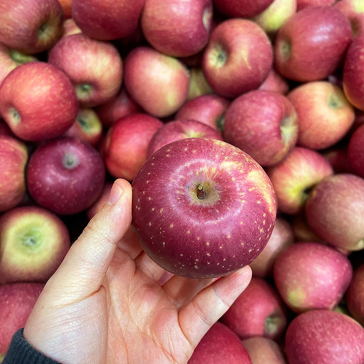 旺彩店主版苹果(旺彩店主版app官网)-第5张图片-有道翻译官网